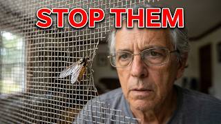 Insects getting past your window screens?