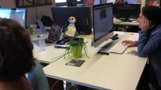 Sapenta Office - Mannequin Challenge