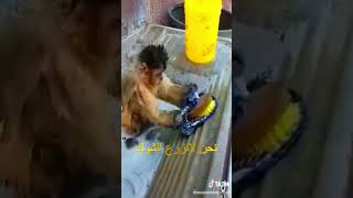 حاول الاتضحك نحن لانزرع الشوك