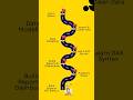 The Roadmap That Can Change Your Career!