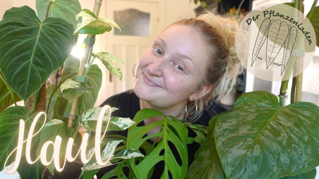 DER PFLANZENLADEN HAUL ✨ 10 neue Pflanzen! 🪴