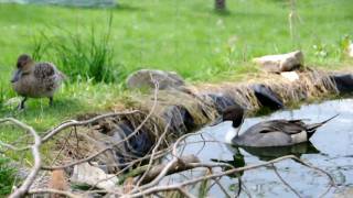 DSC 0004 DSC 0004