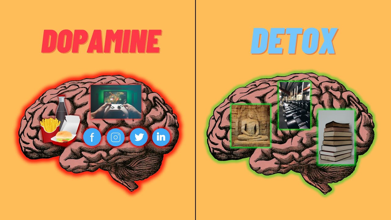 Dopamine detox can ACTUALLY change your life - YouTube