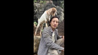 Can't stop it at all #Shepherd Gongzi #Rural Life #Lamb #My Rural Life