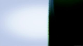 Light Leaks Element 216