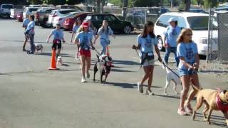 Camp Love-A-Pet Graduation Ceremony