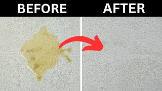 How to Remove Cat and Dog Pee from Carpet