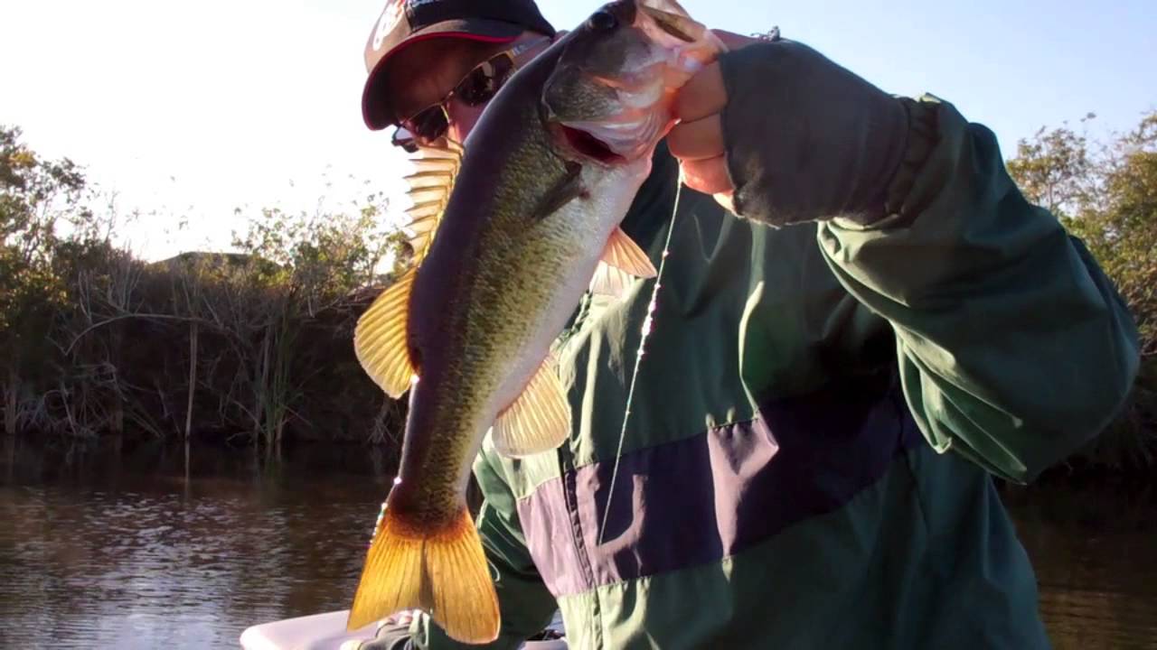 Short Take of bass fishing 