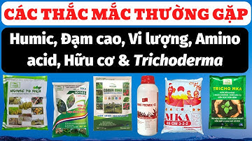 Tổng hợp các thắc mắc thường gặp về sử dụng: Humic, Đạm cao, vi lượng, amino acid, hữu cơ và Tricho