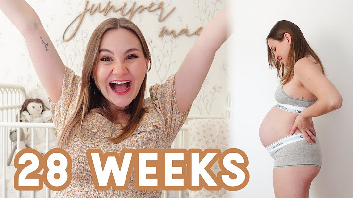 FINALLY SOME GOOD NEWS | 28 Week Pregnancy Update with Baby #2