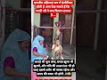 #radhe radhe #radhekrishnaa 🤣✅🙏💯🤣 #funny #krishna #jaishreeram 🤣✅🙏💯🤣😝🤣
