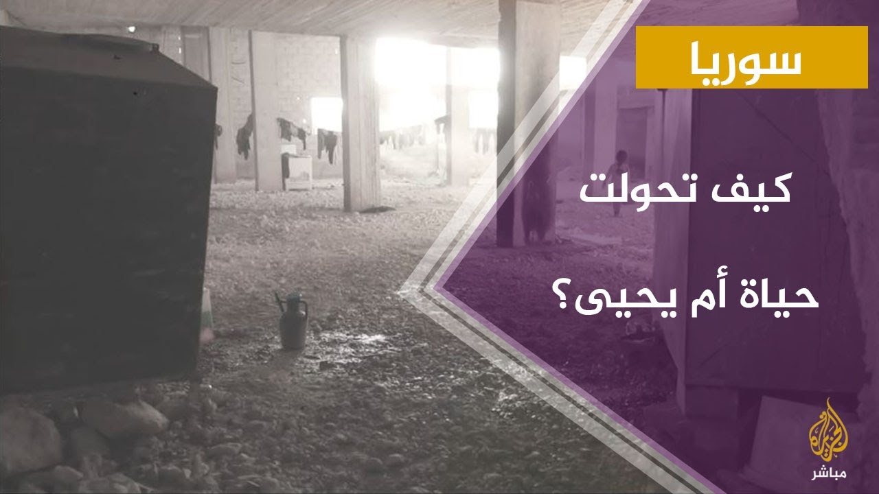 بعد عرض قصتها على شاشة الجزيرة مباشر .. شاهد كيف تحولت حياة الأرملة السورية أم يحيى