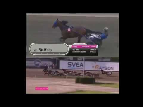 Elitloppet 2014-2017 TIMOKO LE SACRE D'UN ROI