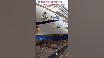 Giant Cruise Ship In Dry Dock For Repairing | Cruise Workers | #shorts | #ytshorts | #shortvideo