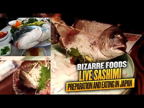 Live Sashimi Preparation and Eating in Japan