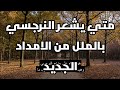 متي يشعر النرجسي بالملل من الامداد الجديد والعلاقة الجديده جحيم النرجسي