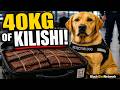 They Were Caught Bringing 40KG of Kilishi to Canada 😳🐶