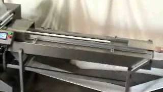 System Packaging Model 9000 Belted Infeed.