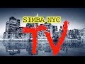 SIMBA NYC TV SHOW S2 EP 2 Dr Stephen Allsop French English Subtitles SIMBA NYC TV SHOW S2 EP 2 Dr Stephen Allsop French English Subtitles