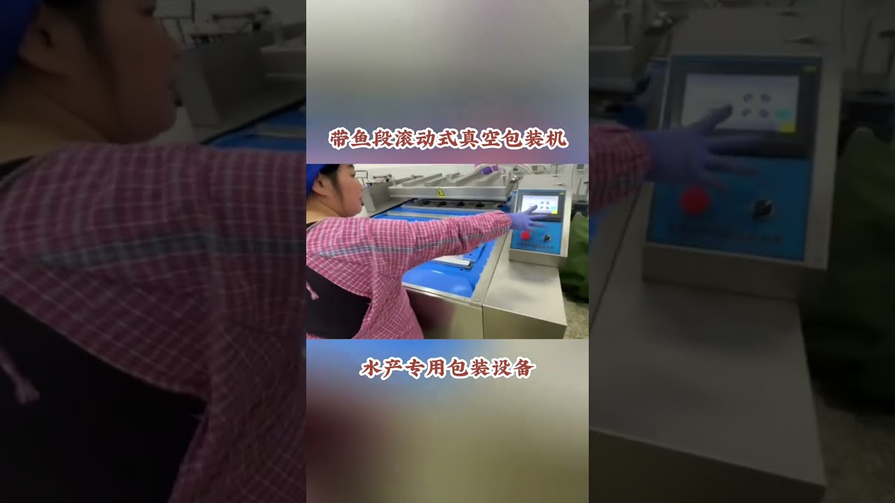 Continuous Belt-type Vacuum Packing Machine for Seafood and Tilapia. 