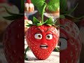٣٠ أبريل ٢٠٢٦