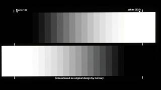 Focus, White Balance, Flat Video Levels - Steps 17-21