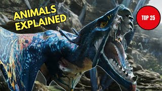 Every ANIMAL on Pandora Explained IN DETAIL - Before FIRE + ASH