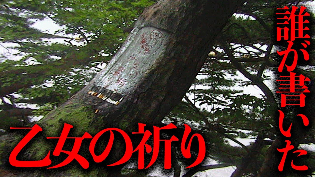 松島町にある辞世の句が彫られた松の木「乙女の祈り」を調査する【都市伝説】