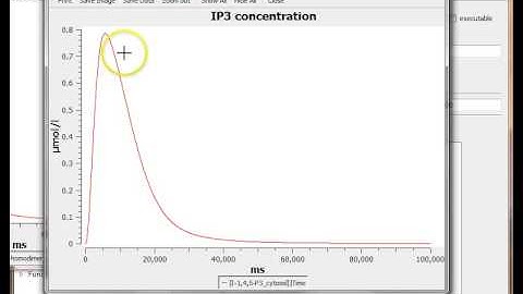 Run Simulation COPASI