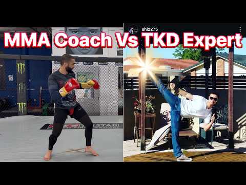 Coach Zahabi Vs Taekwondo Expert & Channel Member