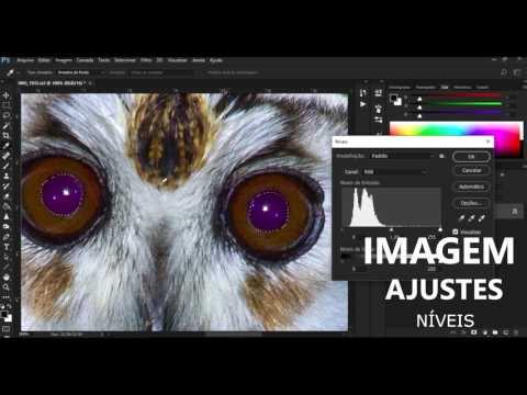 2- EDIÇÃO FOTOS DE AVES- Redução de OLHOS VERMELHOS de Corujas e Bacuraus/ Photoshop