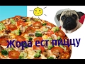 Мопсики| Жора ест пиццу ЖЖЖЖЖесть!!!!!!