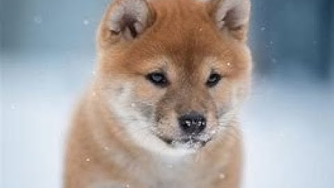 how to add computer interface to your gtag copy