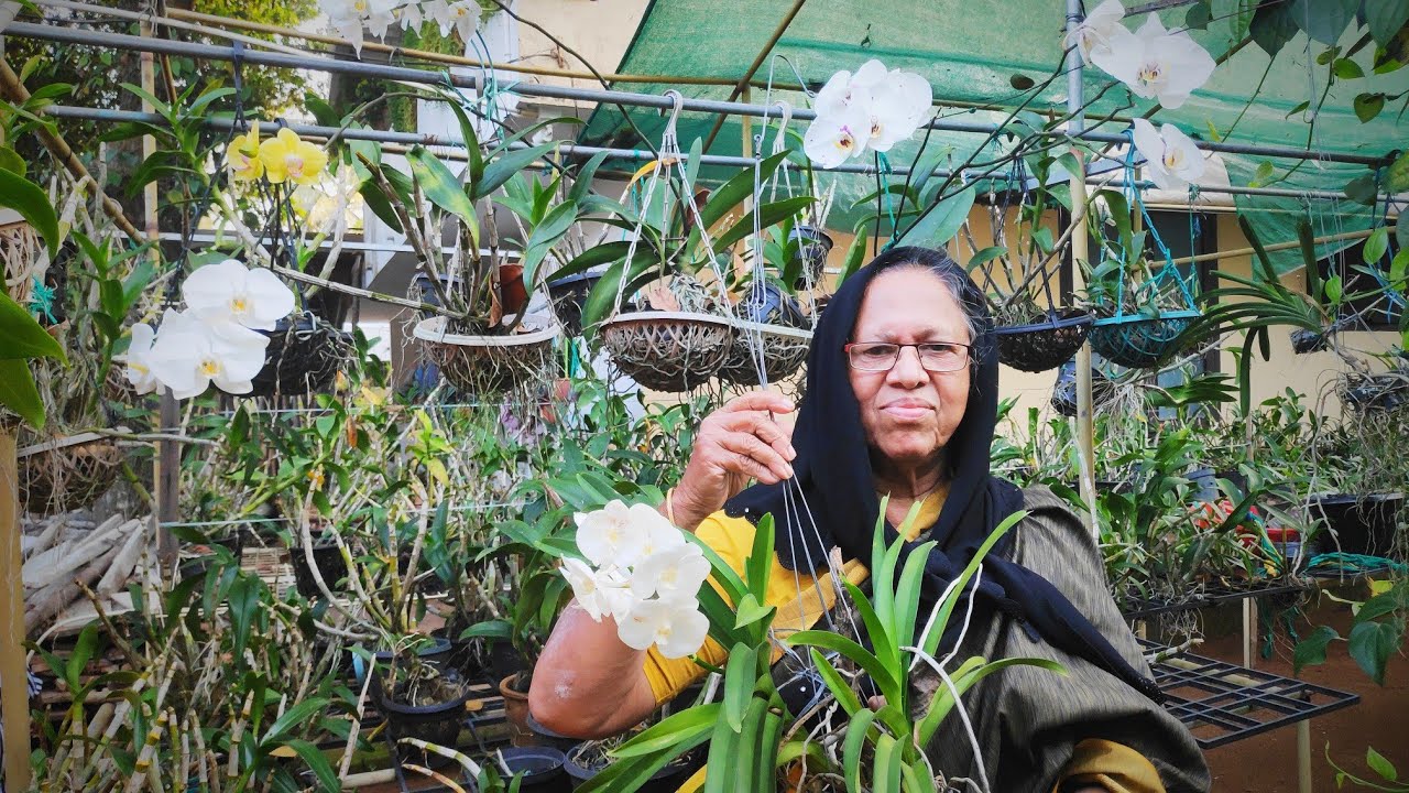 GARDEN TOUR Plant Nursery Visit, Plants price with names //Buy Plants