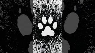 Cat Creates An Abstract Masterpiece