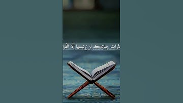 استمع الى القران الكريم بصوت الشيخ ماهر المعيقلي
