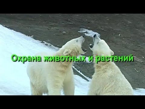 Охрана животных и растений