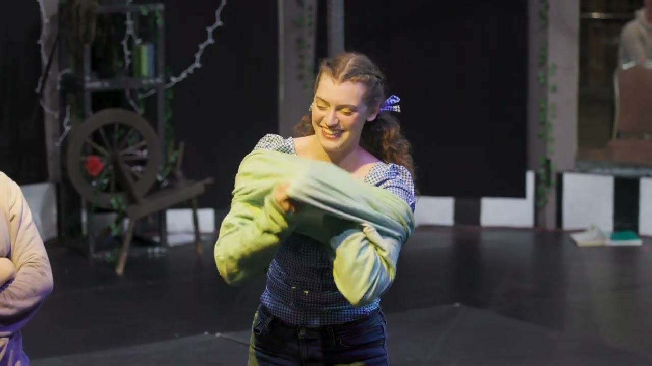 3 Circus Harmony Unbound: Chinese Pole