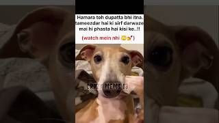 watch🤧🙄#memes#popular#funny#tweetreels#aesthetic#shorts#lofimusic#dog#sad#ytshorts#watch#fyp#viral