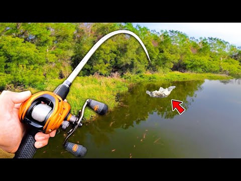 Fishing Challenge w/ NO BUDGET! (Winner Takes ALL!)