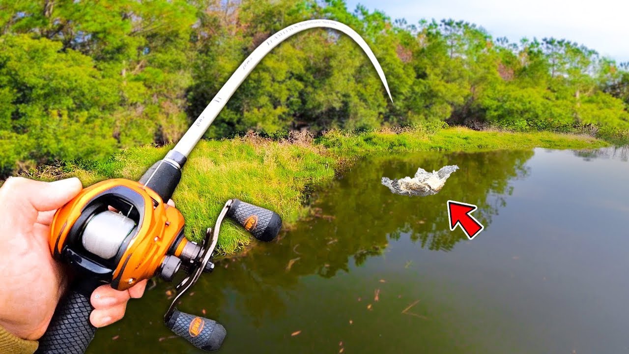 Find Grass, Throw THIS Worm, & Catch Bass! (Summer Bank Fishing