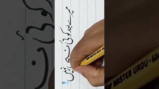 nabi urdu shorts writing marker | US Calligraphy