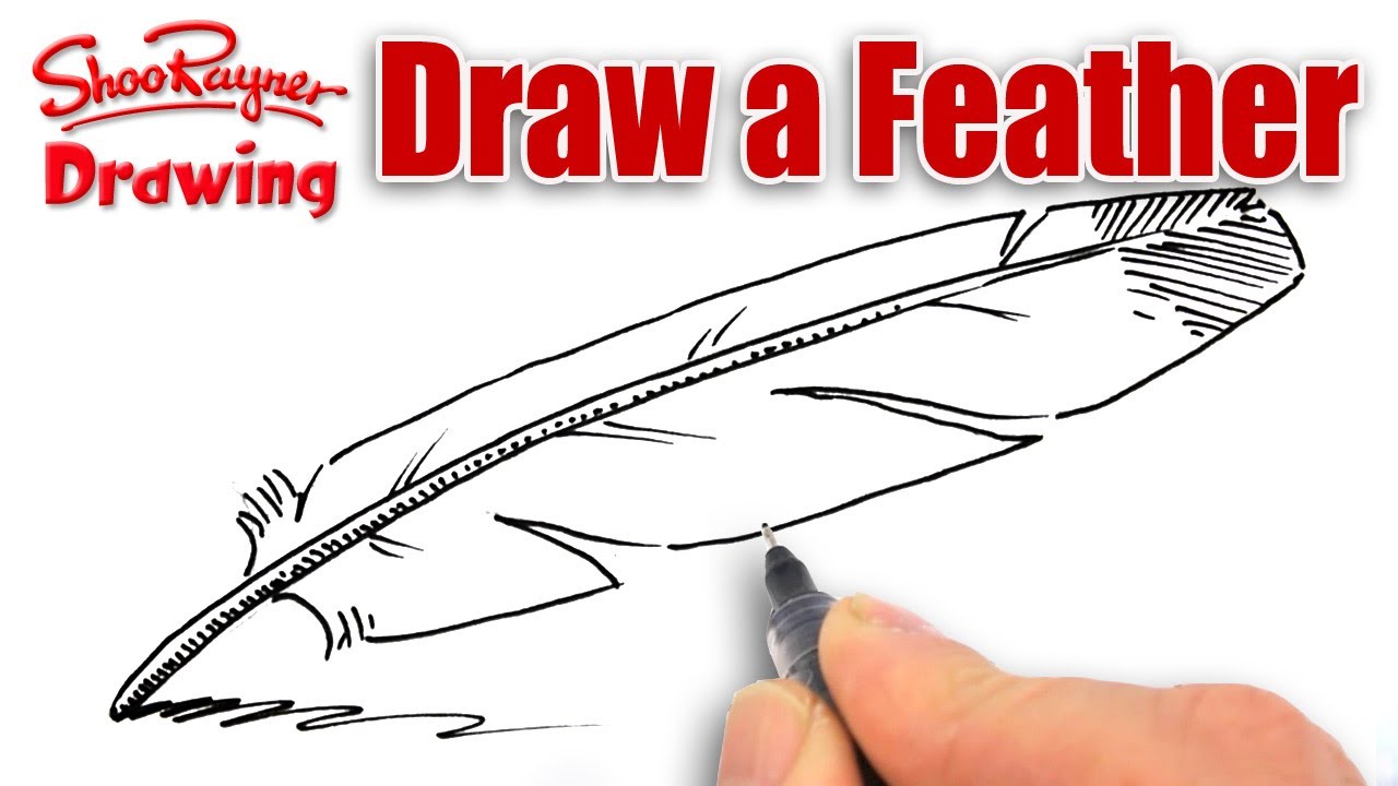 How To Draw Eagle Feathers - Tomorrowfall9