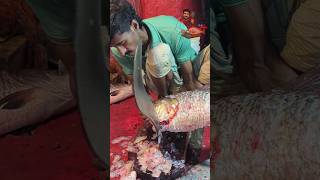 Amazing Cutting Skills || Big Carp Fish Cleaning &amp; Cutting By Expert Fish Cutter