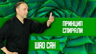 Движение По Спирали | Шао Сан