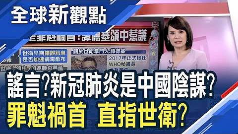 闢謠！中國駐美大使崔天凱 怒斥美參議員！華盛頓郵報批：世衛早期錯誤訊息 加速病毒散布？│主播 曾鐘玉│全球新觀點20200210 - 天天要聞