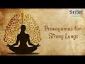 Pranayama for Strong Lungs