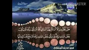 سورة الأنعام - من آية ( 158 ) إلى آخرها آية ( 165 ) - للقارئ : محمد صديق المنشاوي .