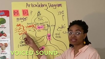 LING1 Unit 5 - Sound Check: Phonetics, Part 3