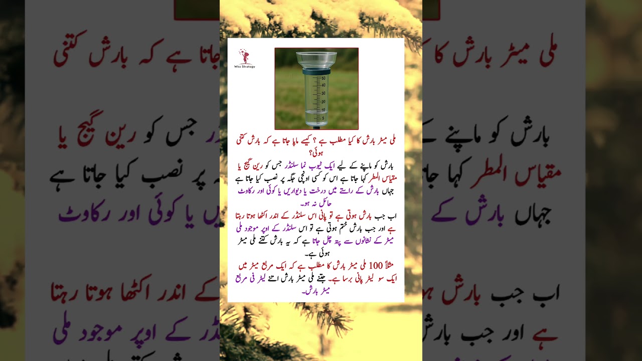 How Rainfall Is Measured in Millimeters? | Useful Information 